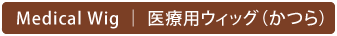 医療用ウィッグ(かつら) / 新潟市西区 美容室Jade