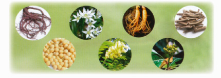 多種、和漢植物成分